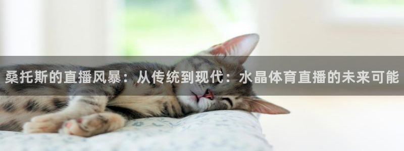 袋鼠体育：桑托斯的直播风暴：从传统到现代：水晶体育直播的未来可能