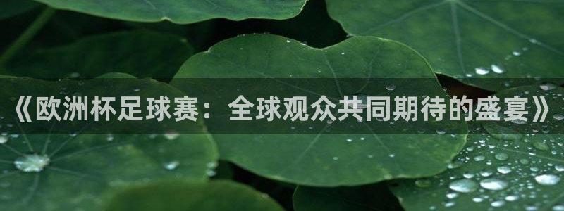 袋鼠直播体育在线：《欧洲杯足球赛：全球观众共同期待的盛宴》