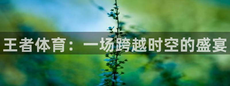 袋鼠看球直播：王者体育：一场跨越时空的盛宴