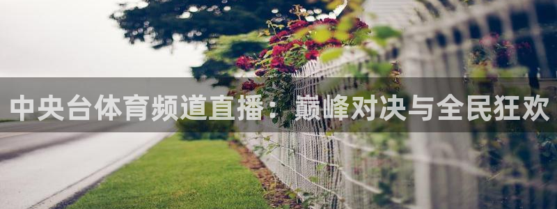 袋鼠在线直播体育：中央台体育频道直播：巅峰对决与全民狂欢