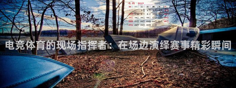 袋鼠直播在线播放：电竞体育的现场指挥者：在场边演绎赛事精彩瞬间