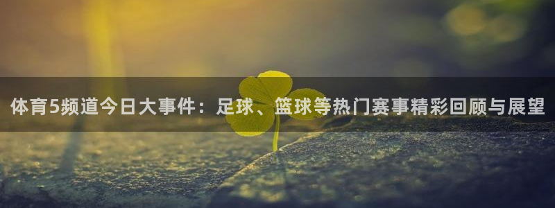 袋鼠直播体育在线直播：体育5频道今日大事件：足球、篮球等热门赛事精彩回顾与展望