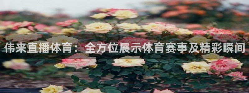袋鼠直播体育：伟来直播体育：全方位展示体育赛事及精彩瞬间