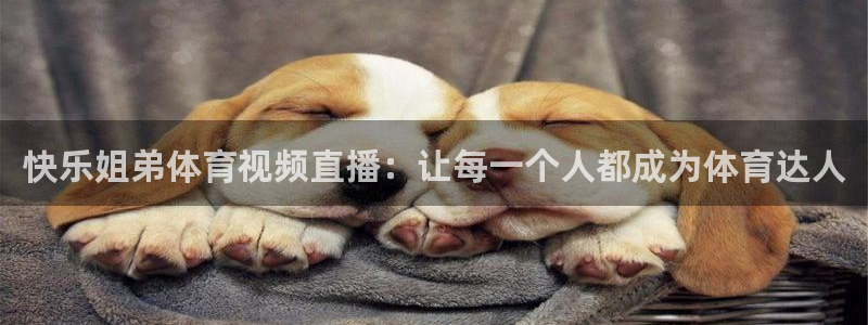 袋鼠直播体育直播：快乐姐弟体育视频直播：让每一个人都成为体育达人