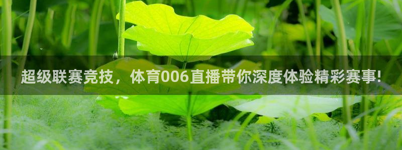 袋鼠直播体育app：超级联赛竞技，体育006直播带你深度体验精彩赛事!