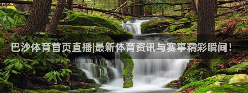 袋鼠直播体育：巴沙体育首页直播|最新体育资讯与赛事精彩瞬间！