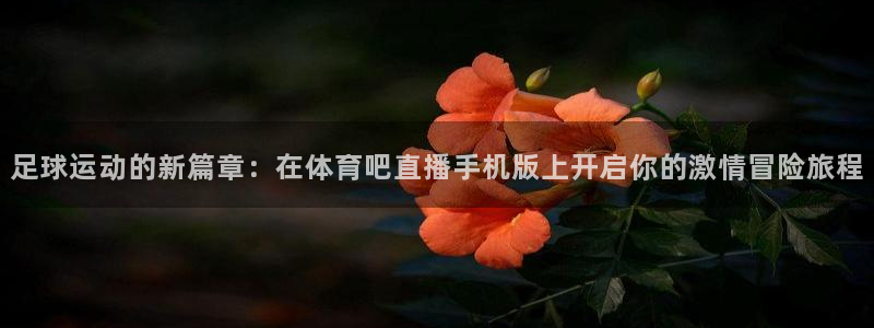袋鼠直播nba：足球运动的新篇章：在体育吧直播手机版上开启你的激情冒险旅程