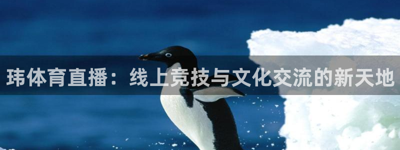 袋鼠体育直播：玮体育直播：线上竞技与文化交流的新天地