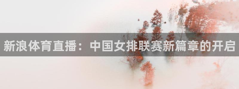 袋鼠体育直播在线观看：新浪体育直播：中国女排联赛新篇章的开启