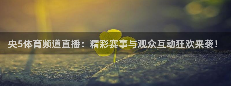 nba袋鼠直播在线观看：央5体育频道直播：精彩赛事与观众互动狂欢来袭！
